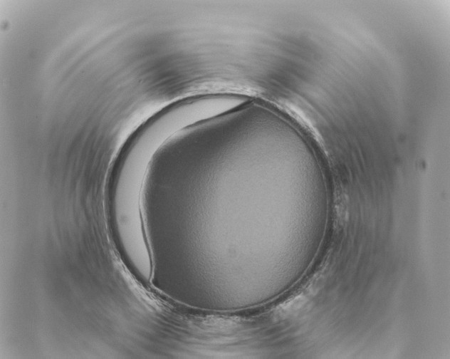 X0000088590981200706221337