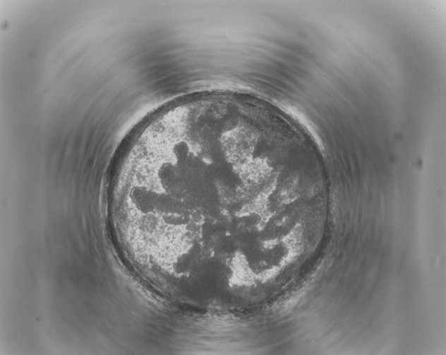 X0000088590983200706221337