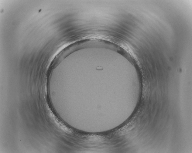 X0000088590984200706221337