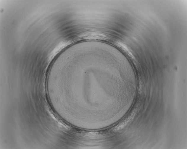 X0000088590986200706221337