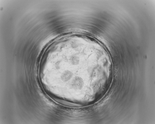 X0000088590987200706221336