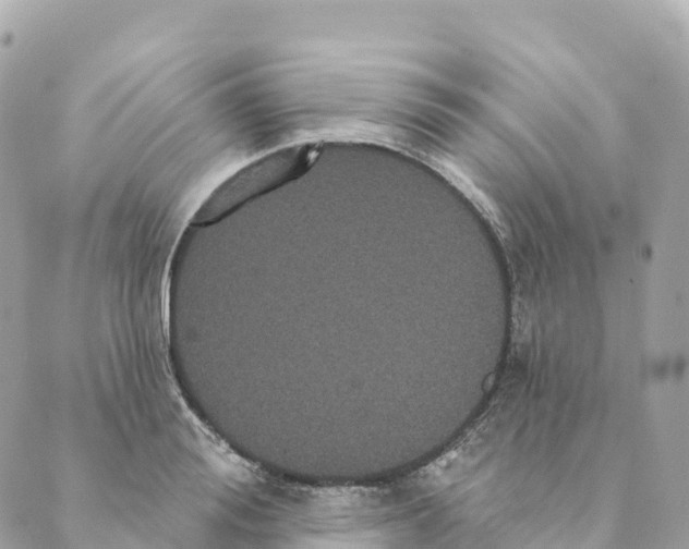 X0000088590988200706221336