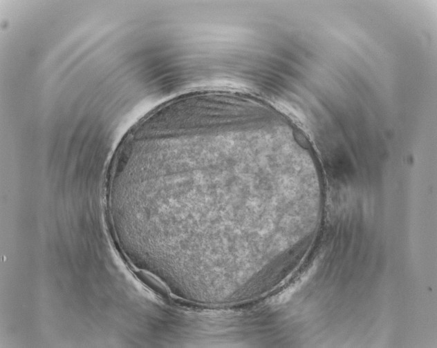 X0000088590989200706221336