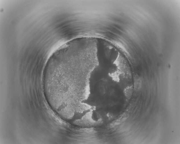 X0000088590990200706221336