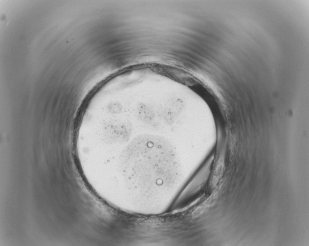 X0000088590991200706221336