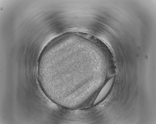 X0000088590992200706221336