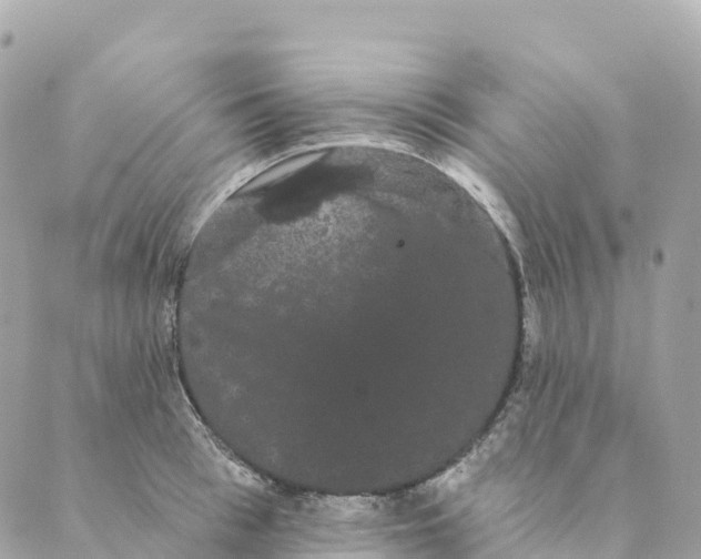 X0000088590993200706221336