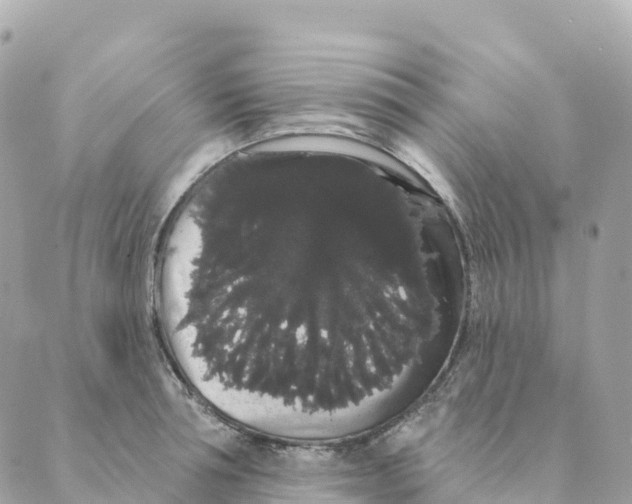 X0000088590994200706221336