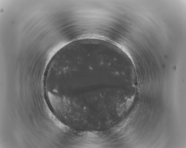 X0000088590995200706221336