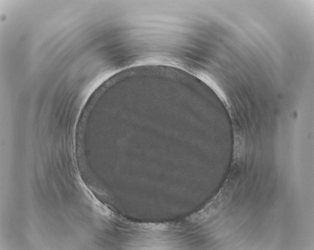 X0000088590996200706221336