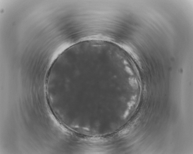 X0000088590998200706221336