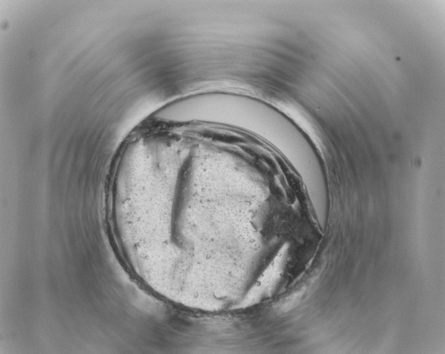 X0000088590999200706221336