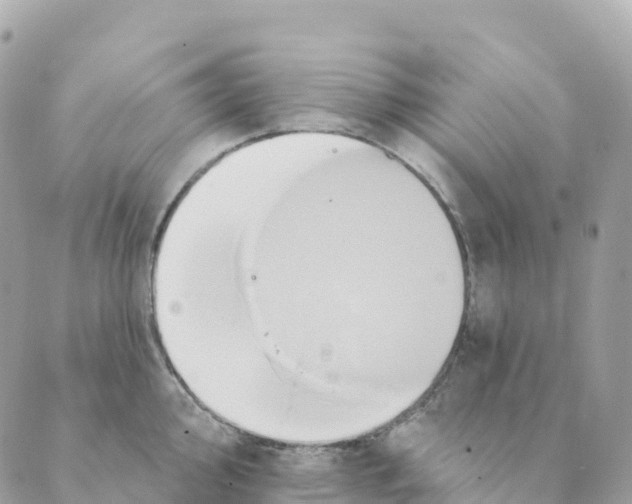 X0000088591000200706221336