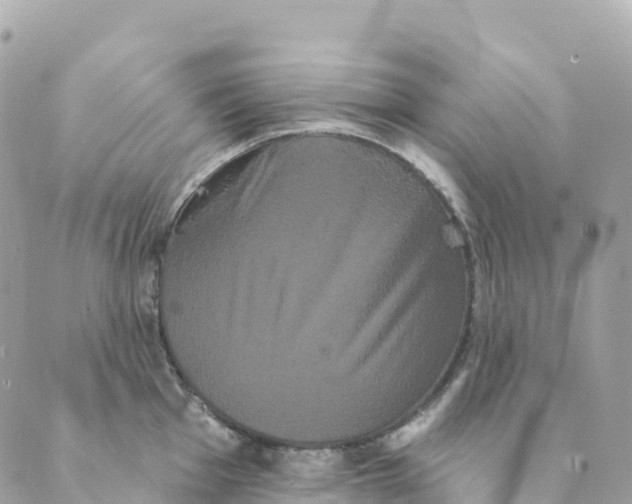 X0000088591001200706221336