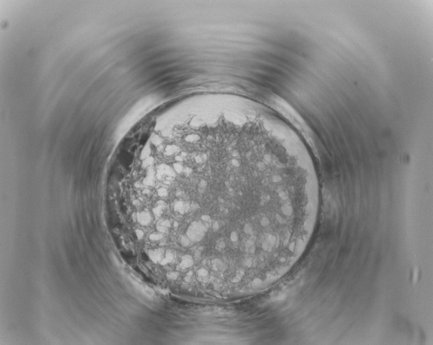 X0000088591002200706221336