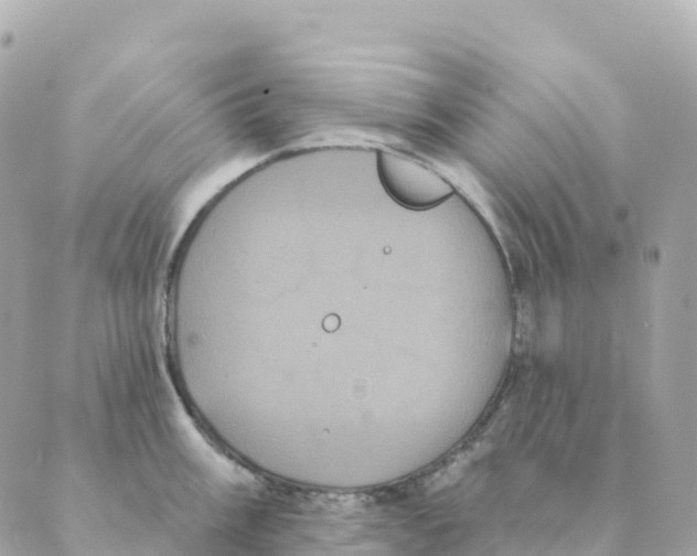 X0000088591003200706221336