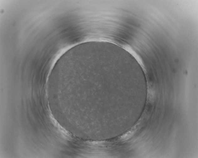 X0000088591004200706221336