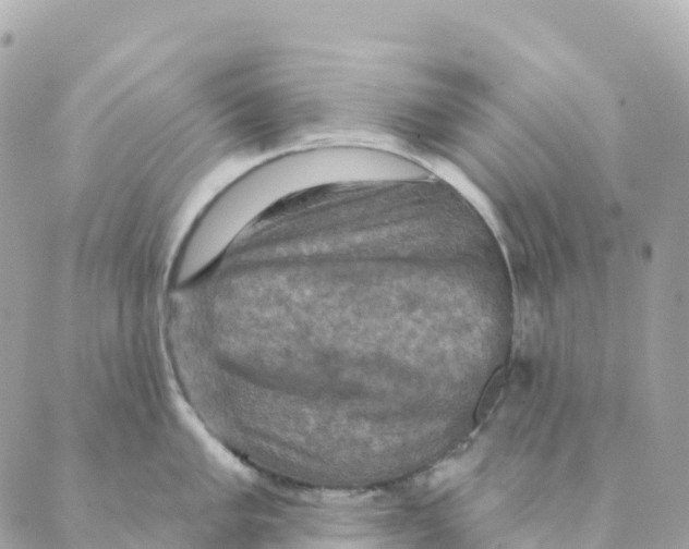 X0000088591005200706221336