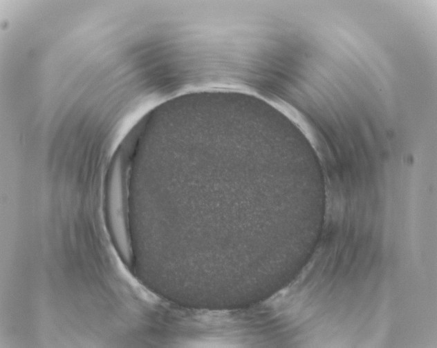 X0000088591006200706221336