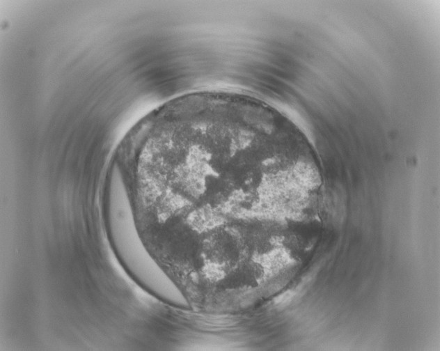 X0000088591007200706221336