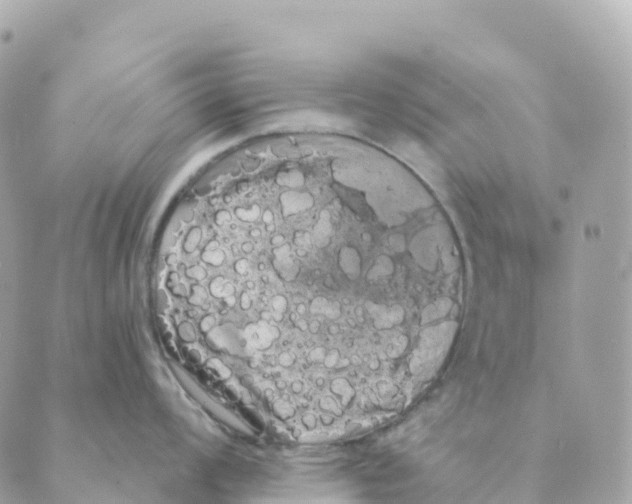 X0000088591008200706221336