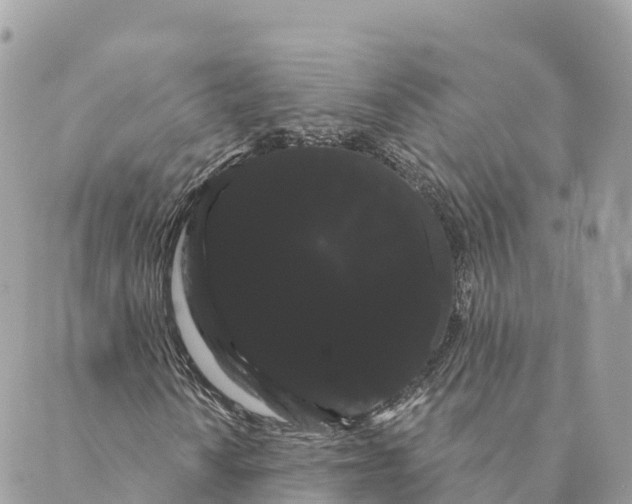 X0000088591010200706221335