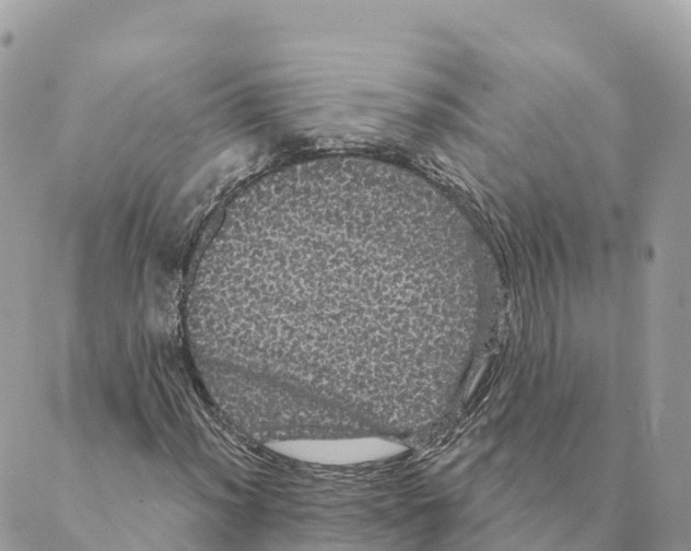 X0000088591012200706221335