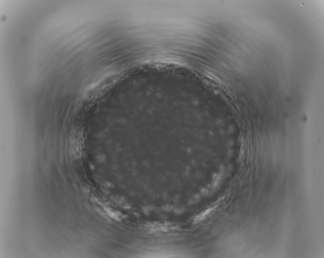 X0000088591014200706221335