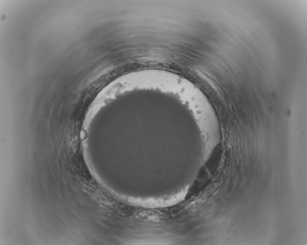 X0000088591015200706221335