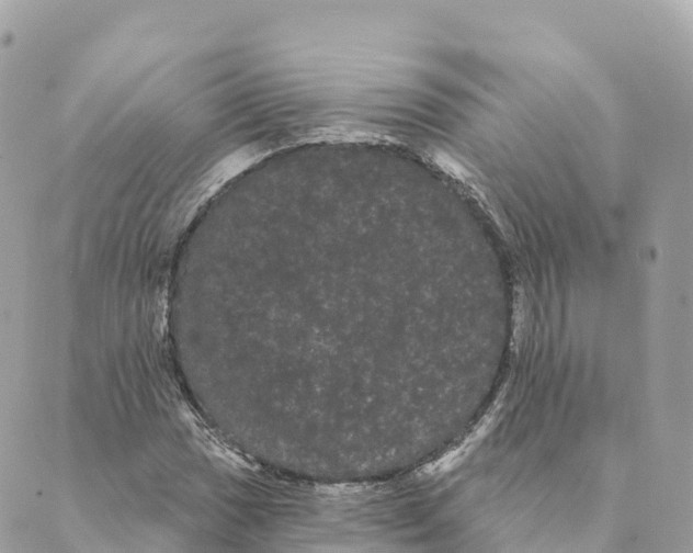 X0000088591017200706221336