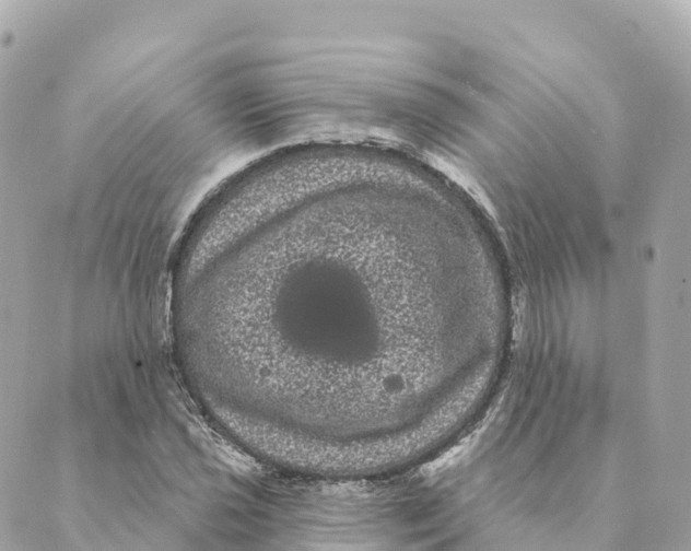 X0000088591021200706221336