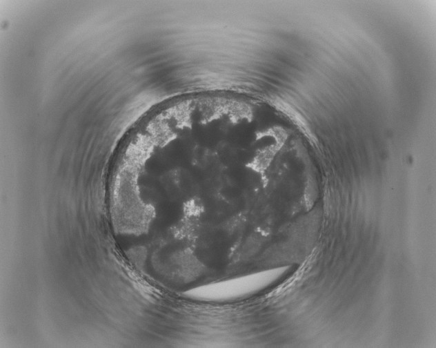 X0000088591023200706221336