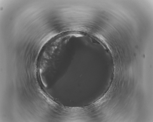 X0000088591024200706221336