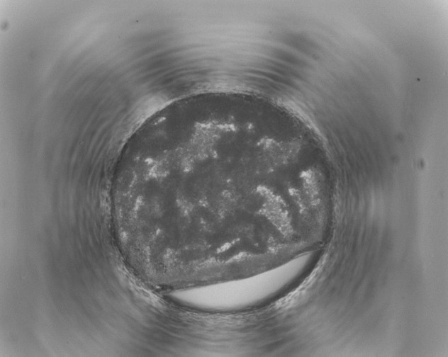 X0000088591025200706221336