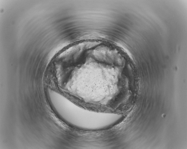 X0000088591026200706221336