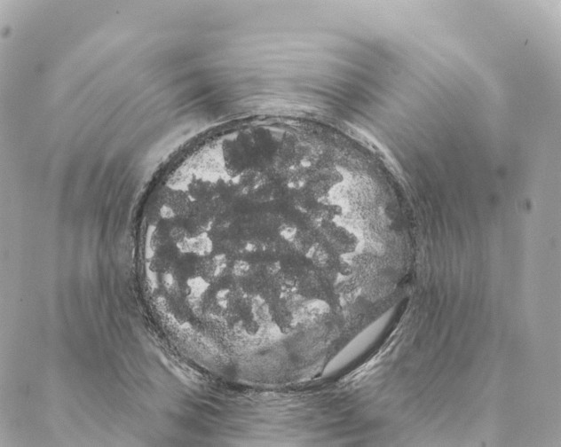 X0000088591027200706221336