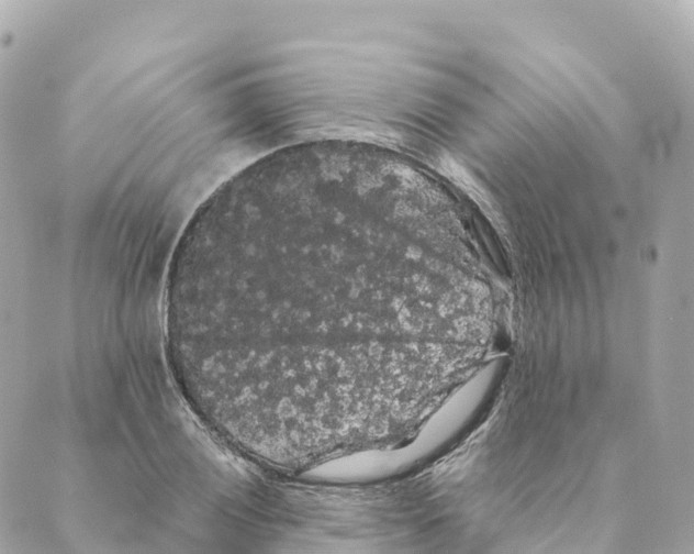 X0000088591028200706221336