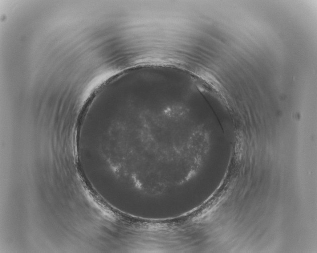 X0000088591030200706221336