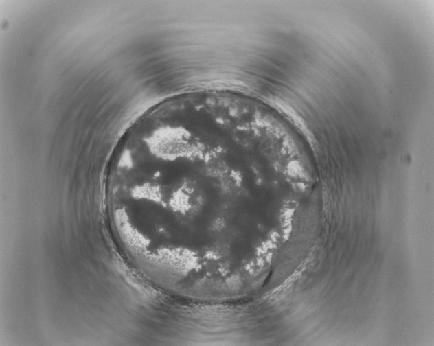 X0000088591031200706221336