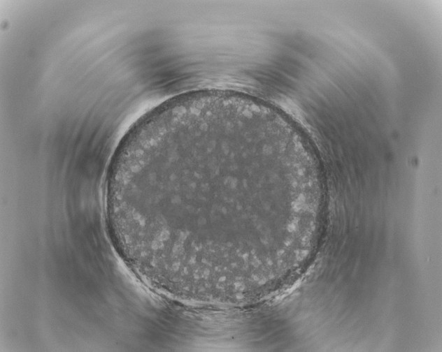 X0000088591032200706221336