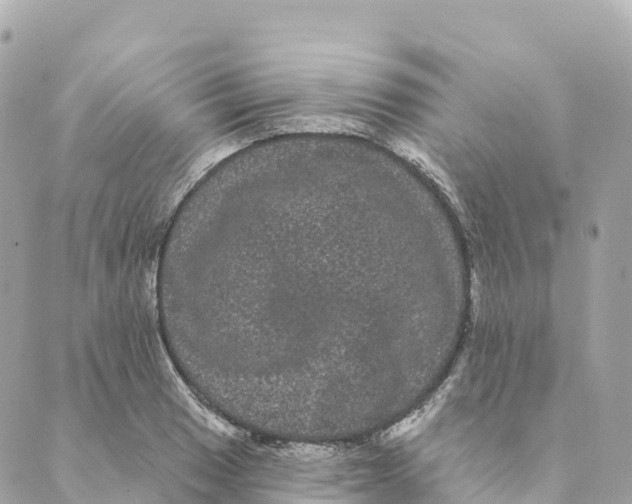 X0000088591033200706221336