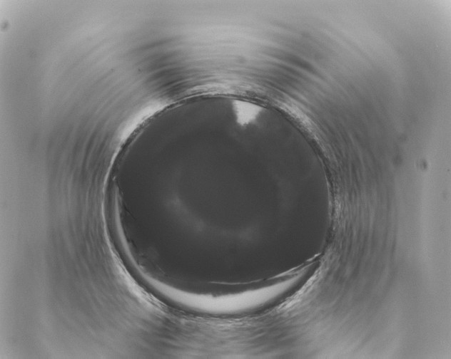 X0000088591034200706221336