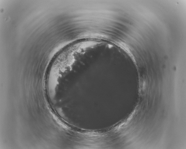 X0000088591037200706221336