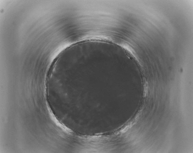 X0000088591038200706221336