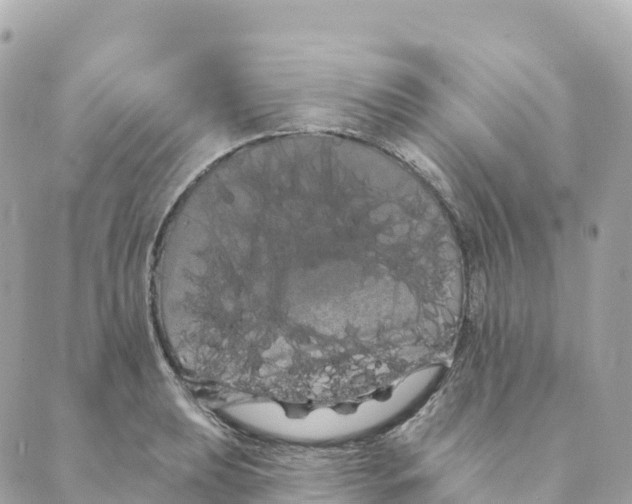 X0000088591039200706221336