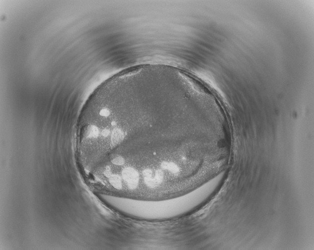 X0000088591040200706221336