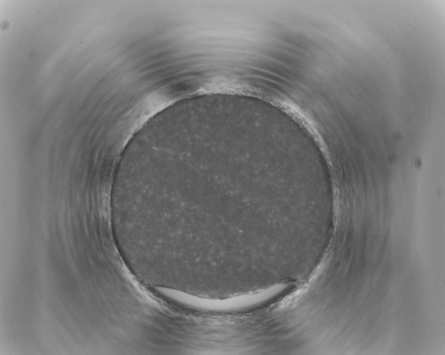 X0000088591041200706221336