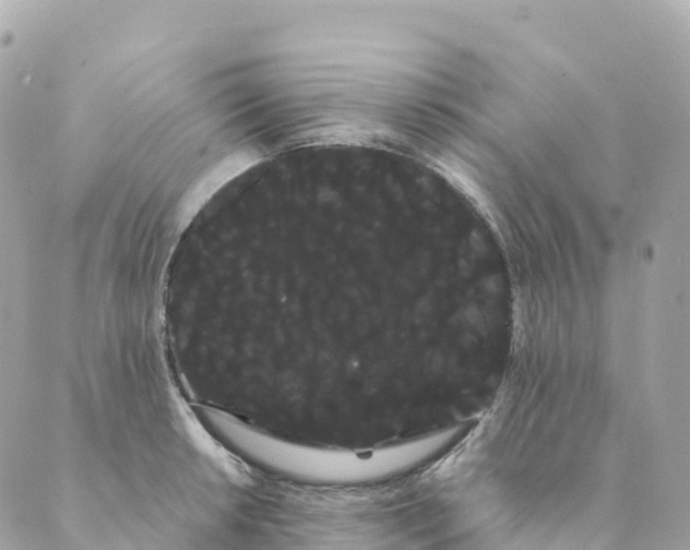 X0000088591042200706221336