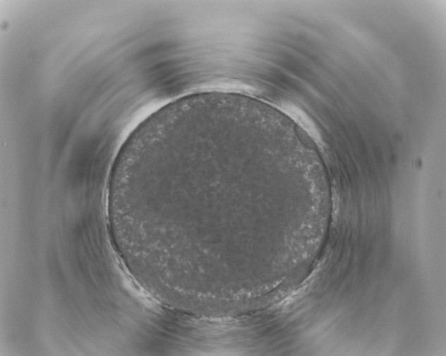 X0000088591044200706221336