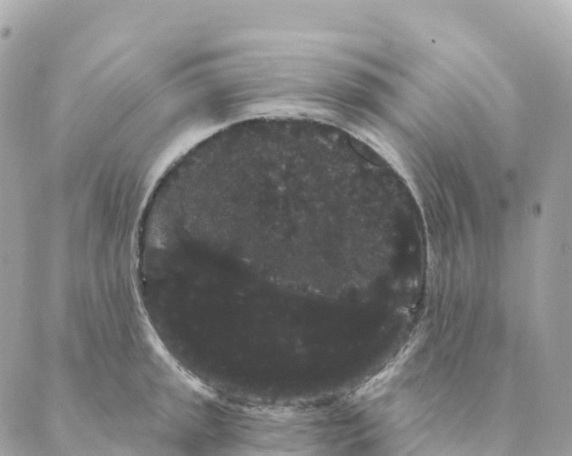 X0000088591045200706221336